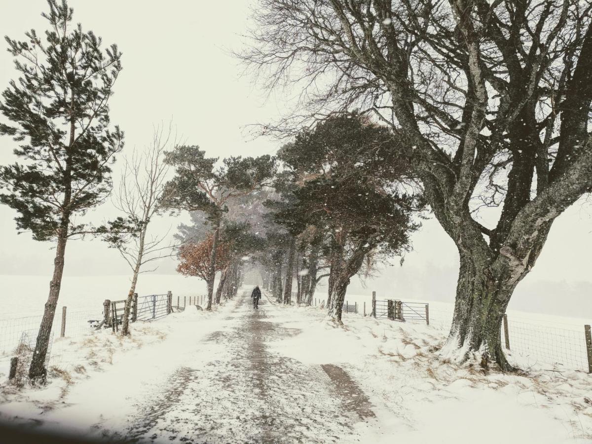 Glentruim Homestay B&B And Glamping Pods Newtonmore Eksteriør bilde