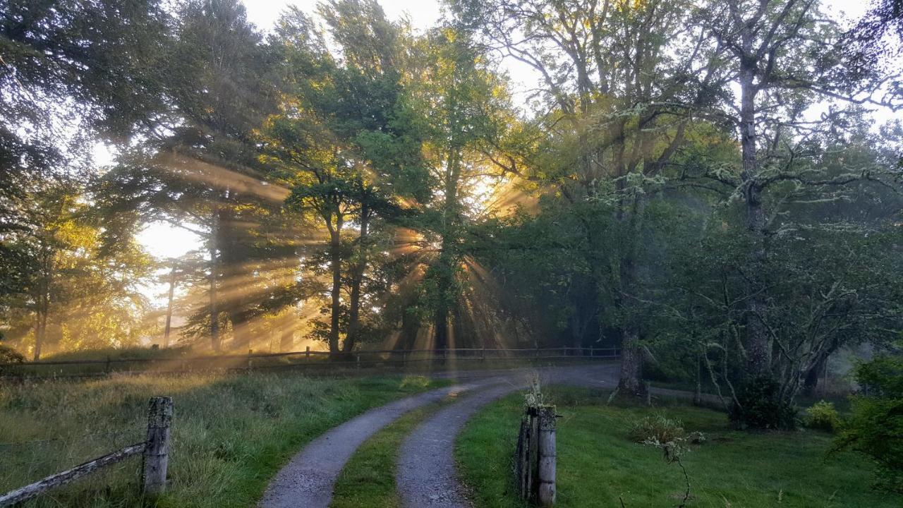 Glentruim Homestay B&B And Glamping Pods Newtonmore Eksteriør bilde